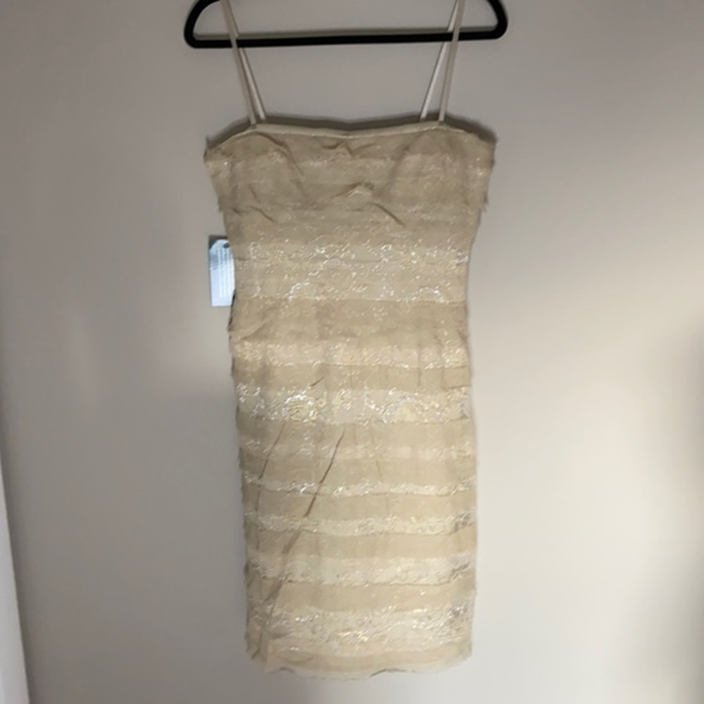 NWT BCBGMaxazria cream lace tulle strapless dress Size Medium